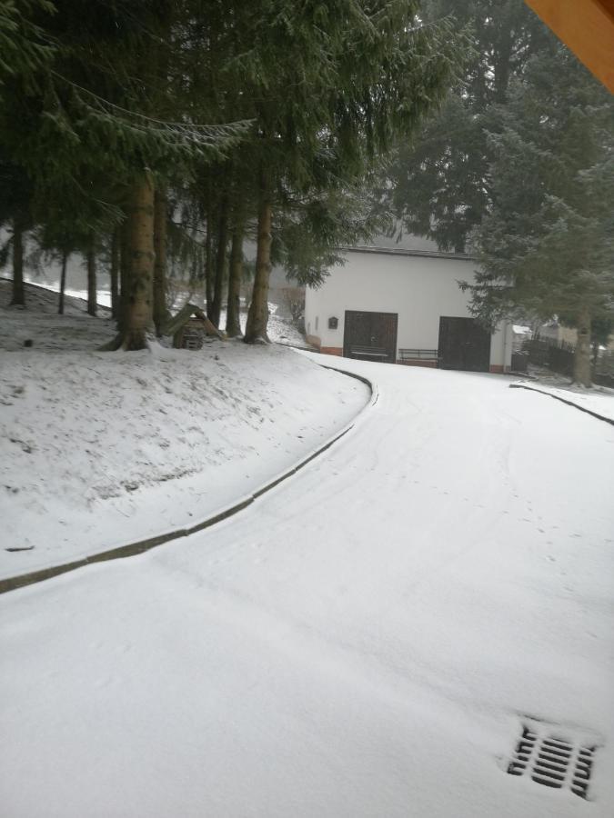 Ferienwohnung Landhaus am Fritzschberg Breitenbrunn  Exterior foto